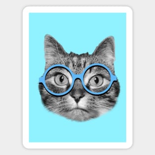 Cute hipster cat wearing big blue eyeglasses Magnet